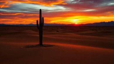 41% de Aumento nas Vendas de Apple Watches Usados em 2024