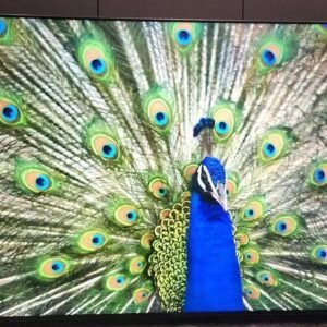 TCL C7K: A TV MiniLED que promete qualidade de imagem excepcional
